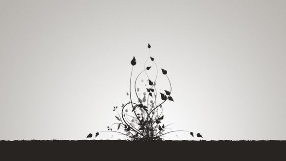 离心机轴承如何组装
