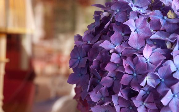 宏电dtu怎么设置
