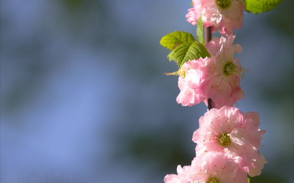 狼牙山门票价格多少钱一张
