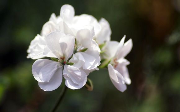 滚筒洗衣机如何移除包装