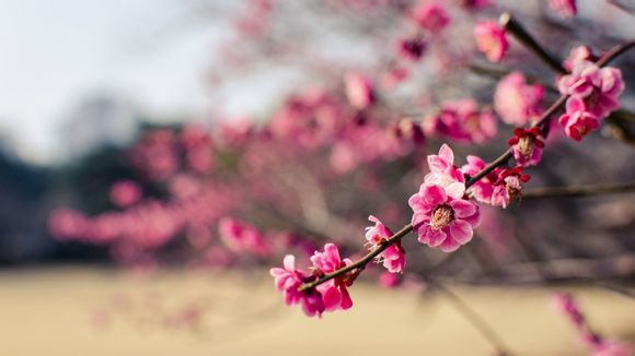 通信技术都有什么
